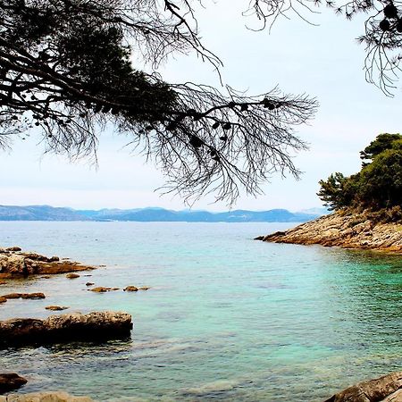Apartment Marija Mljet 4 Sobra Bagian luar foto
