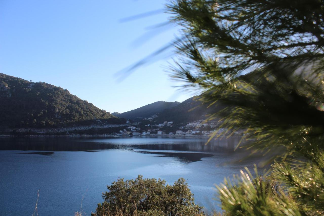 Apartment Marija Mljet 4 Sobra Bagian luar foto